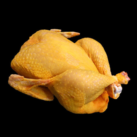 POLLO DE CAMPO
