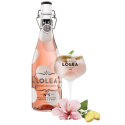 LOLEA SPRITZ ROSE 3/4