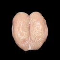 PECHUGA DE POLLO